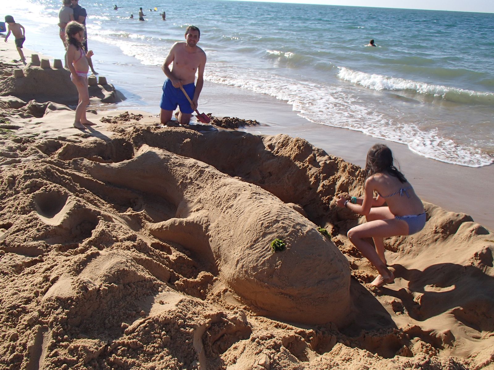 OLYMPUS DIGITAL CAMERA