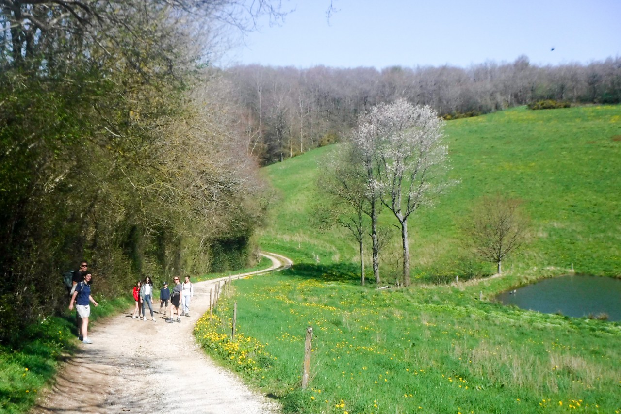 LRM_EXPORT_20170411_101439